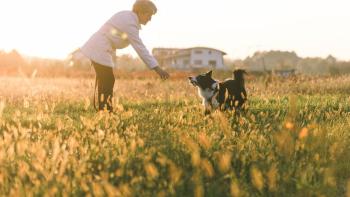 A woman in a field, playing with her dog